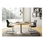 Conference Round table C model